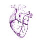 Rising heart-related illnesses among younger individuals