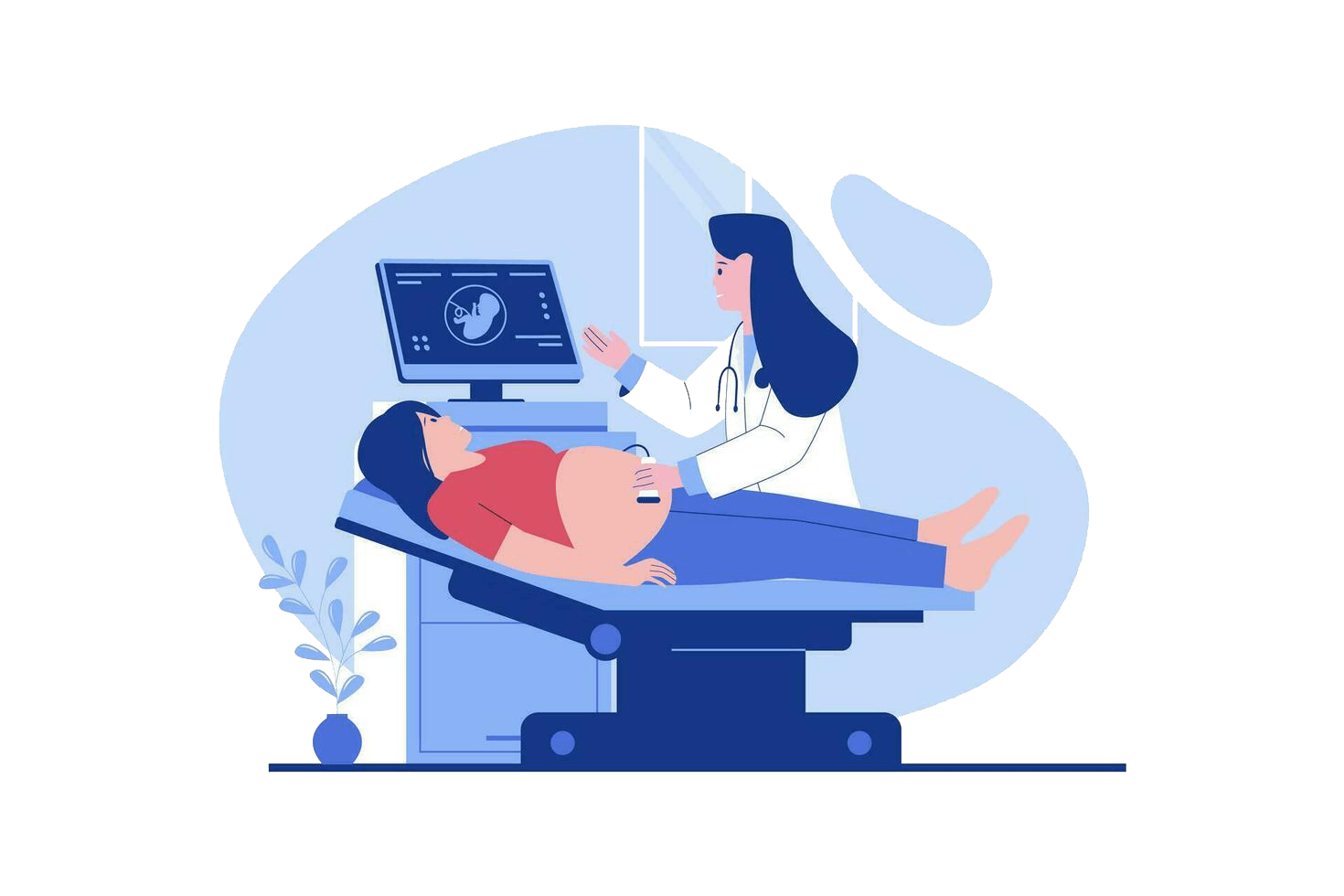 Advanced ultrasound scan for internal organs and fetal imaging